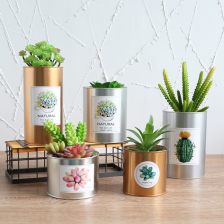 打造理想之家 探索家居装饰品网与家居饰品的无限可能